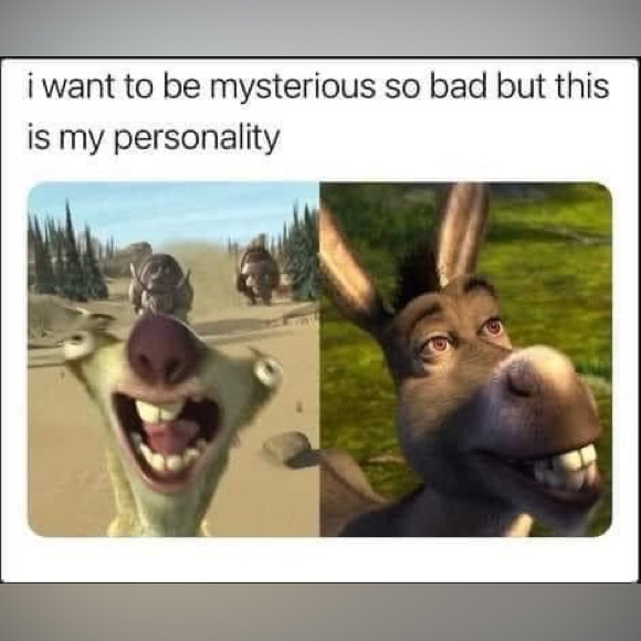 Hi, I’m Jenny! - Picture 5 of 16